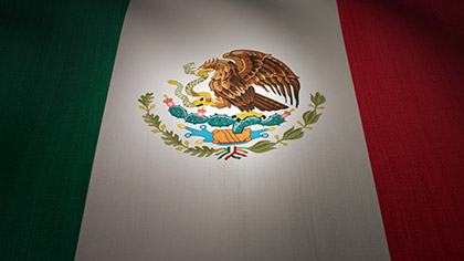 Mexico Flag Waving